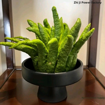 Δίσκος φρούτων με μεταξένια λουλούδια, γενικό μινιμαλιστικό στυλ, προϊόν πρώτης κατηγορίας