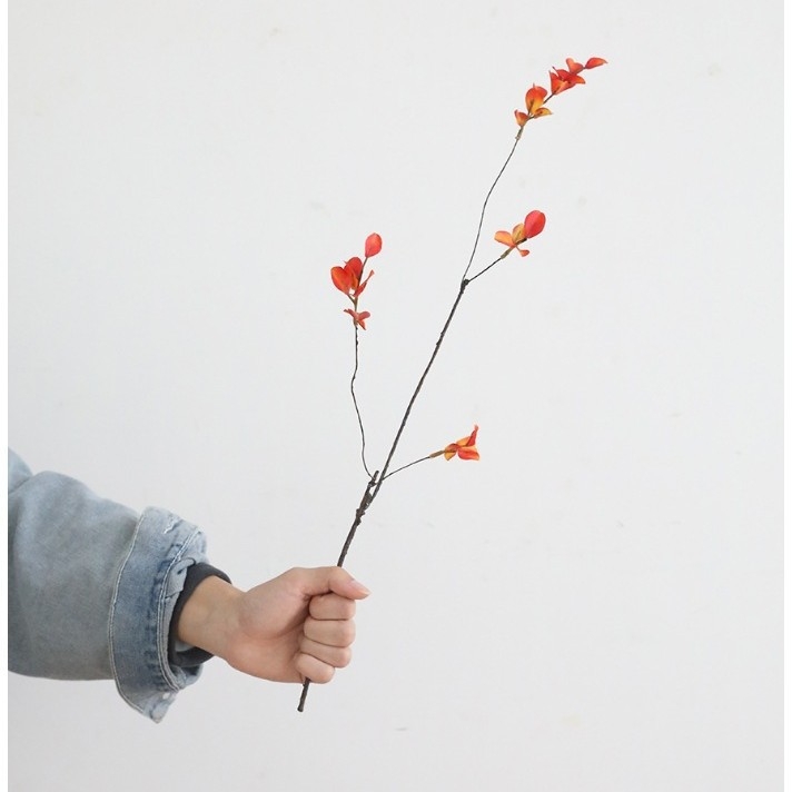 Zīda ziedu zari, vintage-wabi-sabi stilā ar rudens augļu izskatu, viens zars, šķirne 19037921829, mājas dekorācijai un fotogrāfiju rekvizītiem