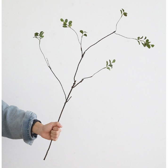 Zīda ziedu zari, vintage-wabi-sabi stilā ar rudens augļu izskatu, viens zars, šķirne 19037921829, mājas dekorācijai un fotogrāfiju rekvizītiem