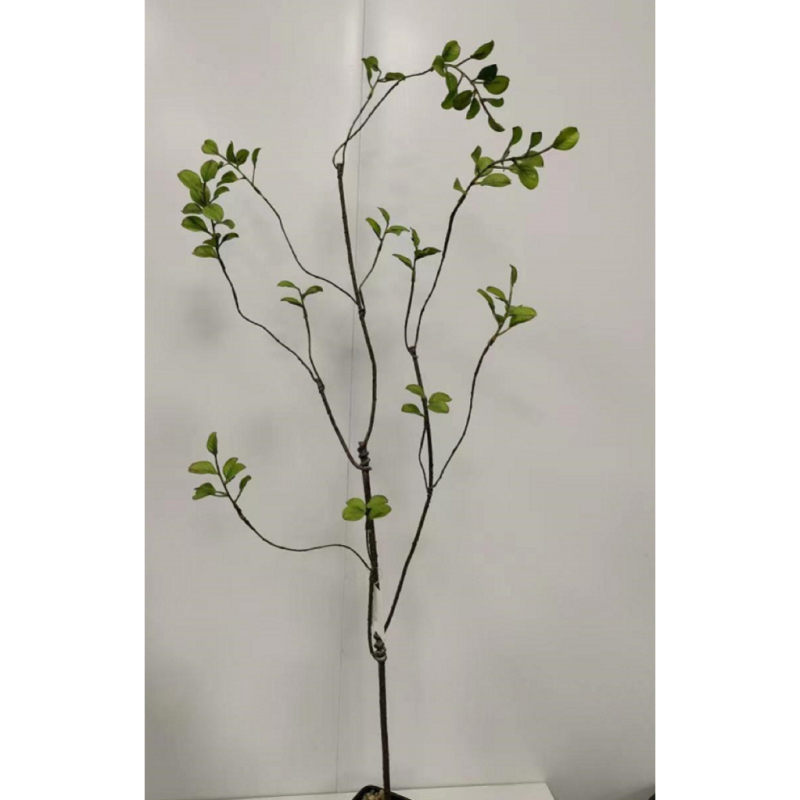 Zīda ziedu zari, vintage-wabi-sabi stilā ar rudens augļu izskatu, viens zars, šķirne 19037921829, mājas dekorācijai un fotogrāfiju rekvizītiem