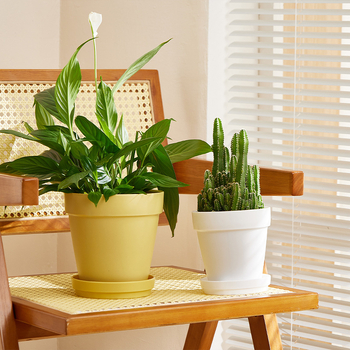 Ghiveci de flori din plastic, design simplu, pentru utilizare pe birou sau la podea, potrivit pentru birou și grădină de acasă.