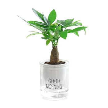 Ghiveci de flori din plastic (utilizare pe birou, stil office, rezistent la coroziune)