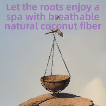 Ghiveci suspendat din fier, stil Nordic, pentru grădină de acasă