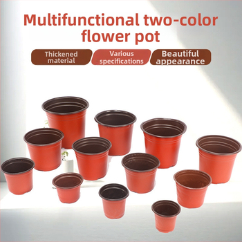 Container de control al rădăcinilor pentru răsaduri, utilizare pe birou, stil simplu, material: altul