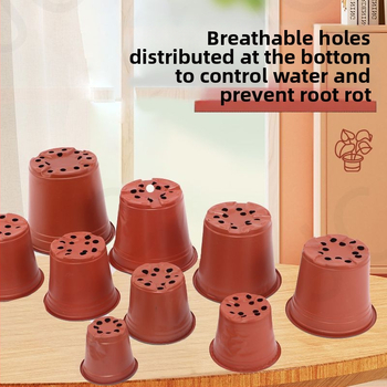 Container de control al rădăcinilor pentru răsaduri, utilizare pe birou, stil simplu, material: altul