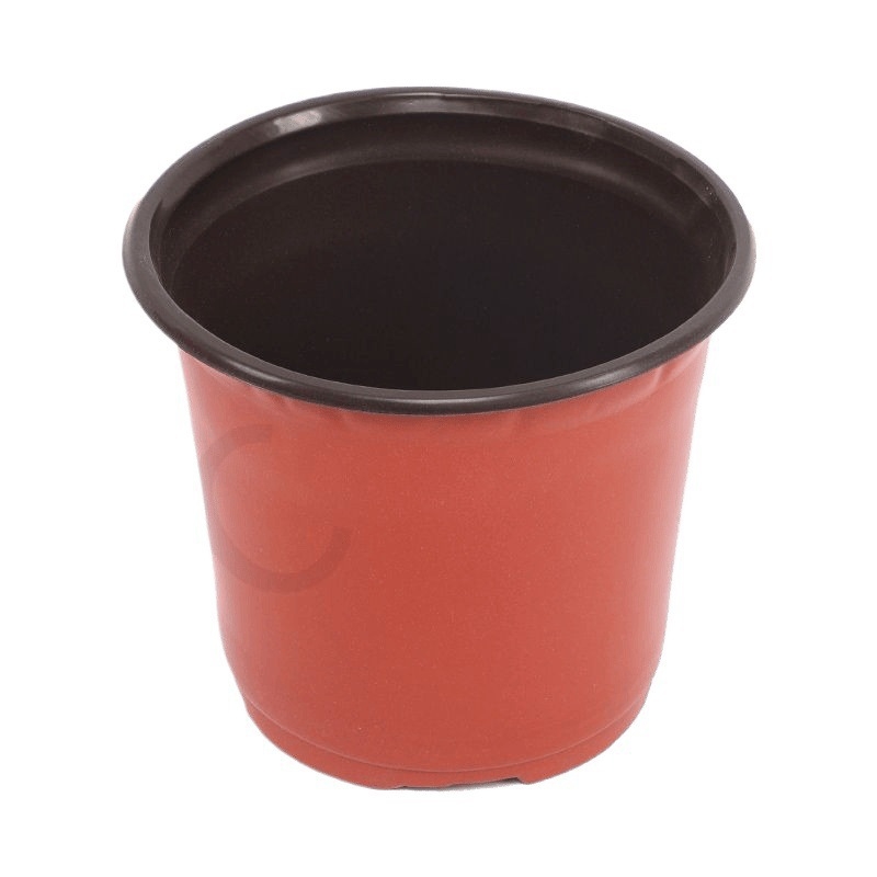 Container de control al rădăcinilor pentru răsaduri, utilizare pe birou, stil simplu, material: altul