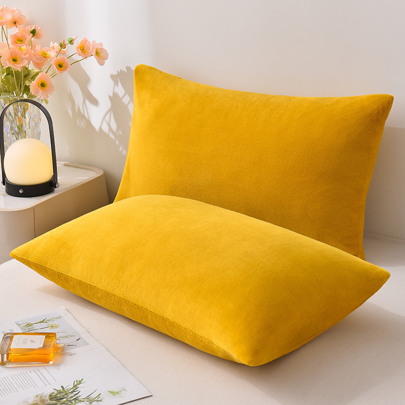 Jastučnica od mliječnog velūra, set od 2 komada, 48 × 74 cm, debeli velur, koral fleece, zimska navlaka za jastuk