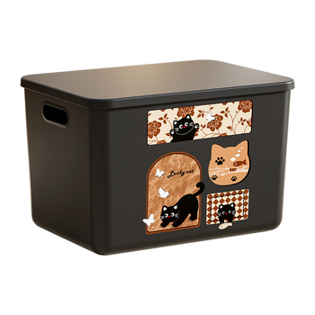 Daugiafunkcinė laikymo dėžė su dangteliu, modelis 1005, polipropilenas, tvirtinama prie sienos, 18 l talpa