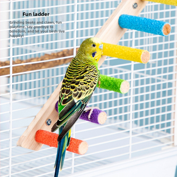 Medinė paukščių žaislinė kopėčios nagų ir snapų šlifavimui, interaktyvi kabanti kopėčios su sūpynėmis, Chengxi prekės ženklas, tinka įvairioms paukščių rūšims