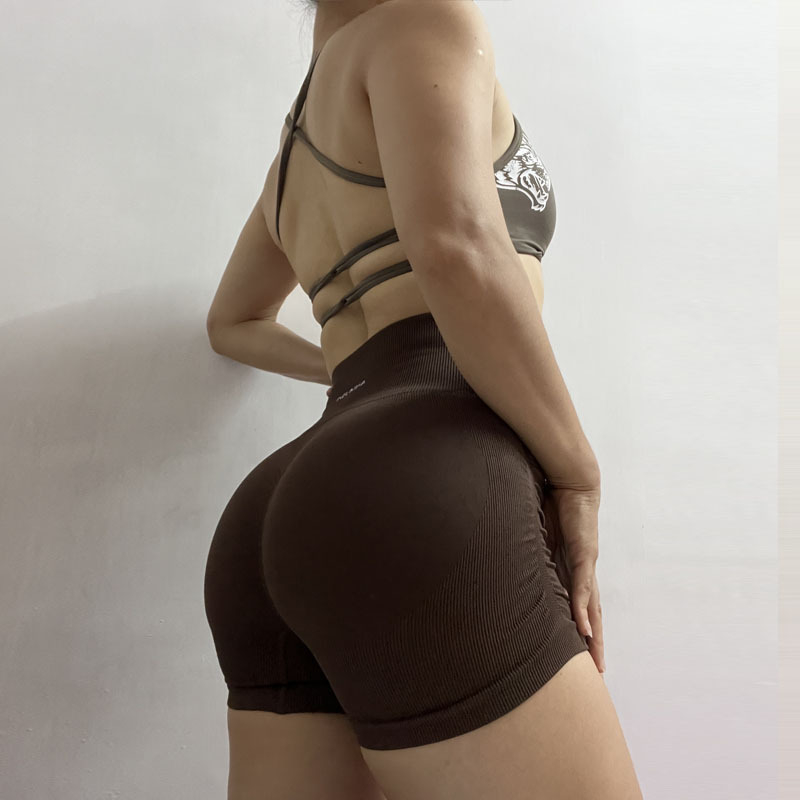 Sieviešu augsta jostas jogas šorti ar sēžas pacelšanas efektu, ātri žūst, neilona-spandeksa audums, ļoti elastīgs un elpojošs