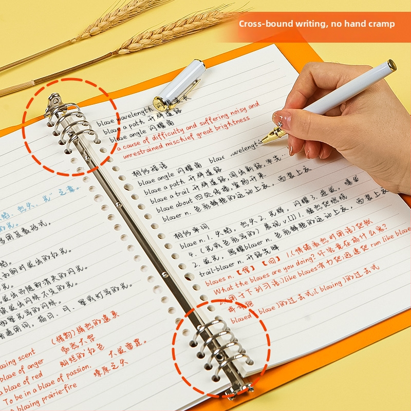 Mīksta vāka piezīmju grāmata ar noņemamiem lapām B5, 8 caurumiem, 60 lapu, Daolin papīrs