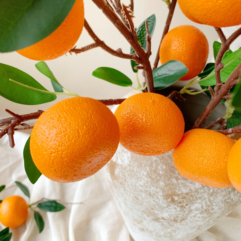 Citrusa augļu zaru dekors - plastmasa, injekcijas formēšana, mājas dekoram, fotogrāfiju rekvizītiem, restorānu dekorācijai