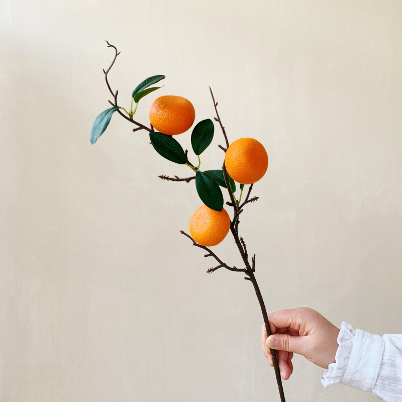 Citrusa augļu zaru dekors - plastmasa, injekcijas formēšana, mājas dekoram, fotogrāfiju rekvizītiem, restorānu dekorācijai