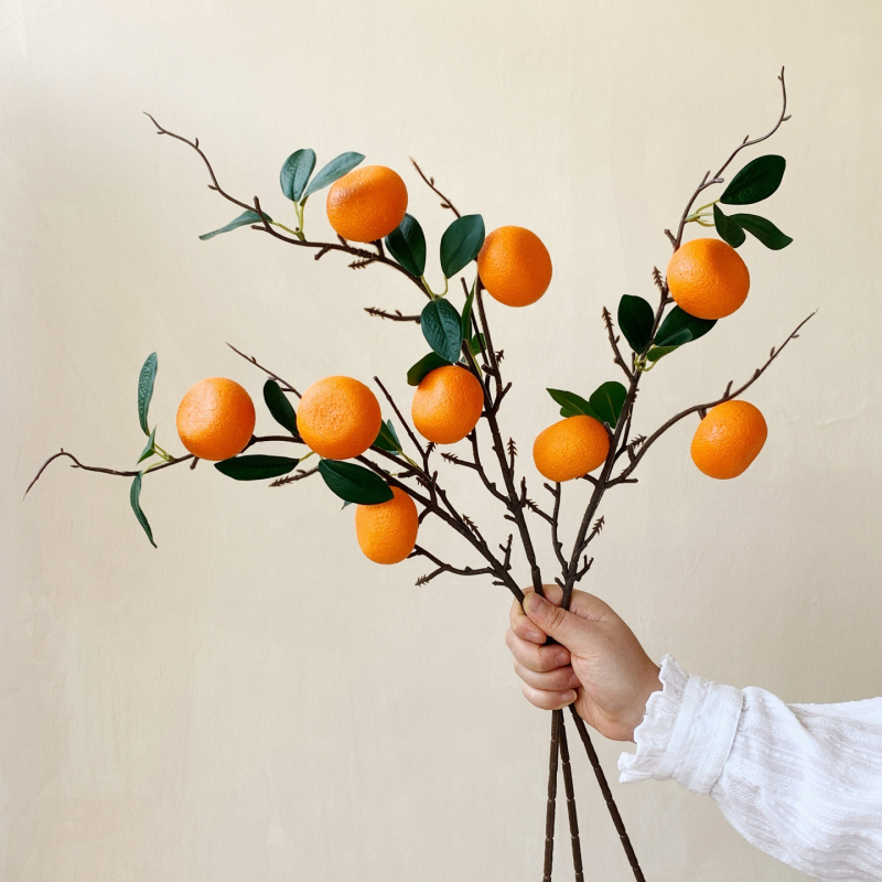 Citrusa augļu zaru dekors - plastmasa, injekcijas formēšana, mājas dekoram, fotogrāfiju rekvizītiem, restorānu dekorācijai