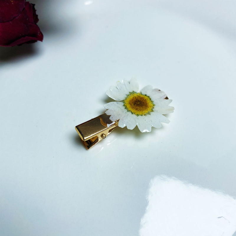 Matu sprādze ar augļu un lapu motīviem — rokdarbs, no plastmasas/sveķu, sievietēm