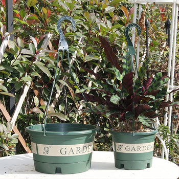 Ghiveci suspendat, plastic reciclat, respirabil, rezistent la deformări, durabil