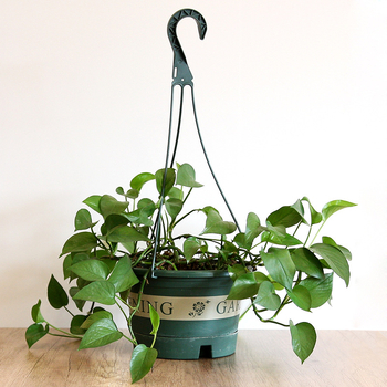 Ghiveci suspendat, plastic reciclat, respirabil, rezistent la deformări, durabil