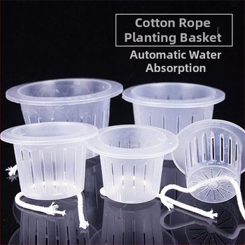 Trīsdaļīgs hidroponikas stikla vāzes komplekts ar sakņu grozu un ūdens trauku