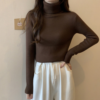 Pulover tricotat cu glugă, guler semi-turtă, material viscose, căptușeală groasă din fleece, mâneci lungi (toamna 2025)