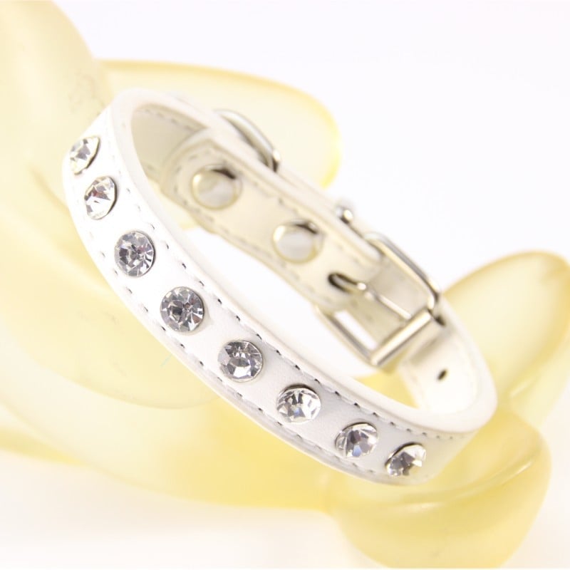 Colier pentru câine din piele PU cu strasuri, design modern, utilizare pe tot parcursul anului, etichetă privată licențiată