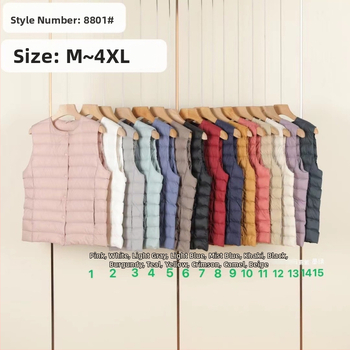 Šaura siluetes pūka veste ar neilona ārējo materiālu, bez piedurknēm, vienu pogu aizdare, Ziemas 2025