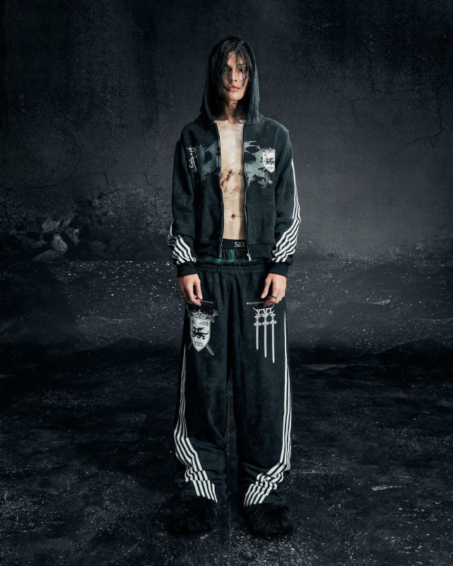 Hoodie s kapuljom i zatvaračem, 3D otisak, ulični hipster stil, širok kroj, poliester