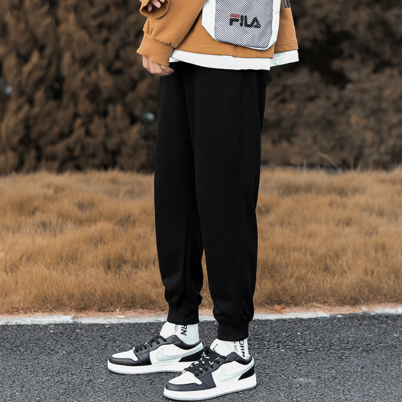 Vyrų kasdieninės kelnės su fleece įdėklu, Korėjos stiliaus haremo kelnės, laisvas kirpimas, tiesus kirpimas, žiemai (polyester, fleece, mid-waist, tether closure)