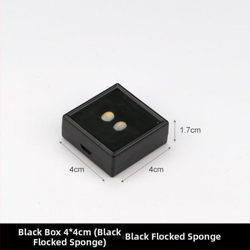 Prozirna plastična kutija za nakit, kutija za izlaganje za labave kamene i dijamante, otporna na prašinu, 1 razina