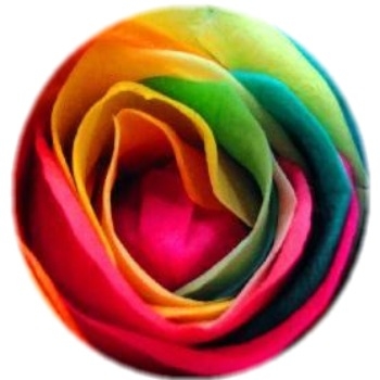 Automobilių valymo skiautė, dvigubo koralo flekso sluoksnis, 600gsm, poliesterio pluoštas, paprasta pynė