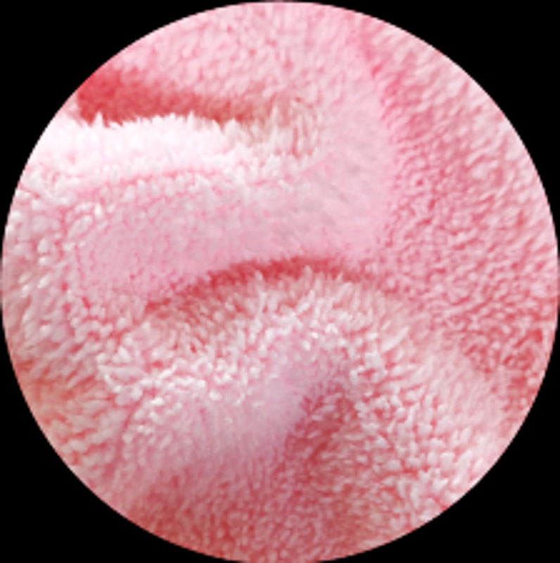 Automobilių valymo skiautė, dvigubo koralo flekso sluoksnis, 600gsm, poliesterio pluoštas, paprasta pynė