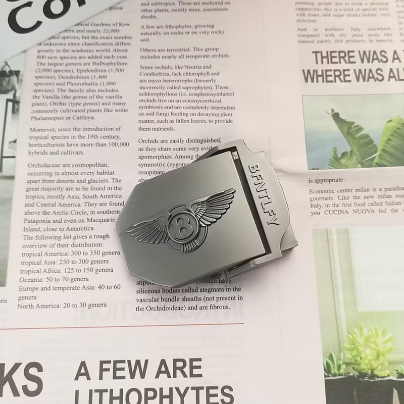 Катарама за колан от платно, гладка цинкова сплав, правоъгълна форма, закопчаване с щракване, дизайн с букви