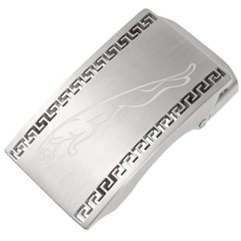 Nerūdijančio plieno automatinė diržo sagtis LY36-00048 | Lan Ye