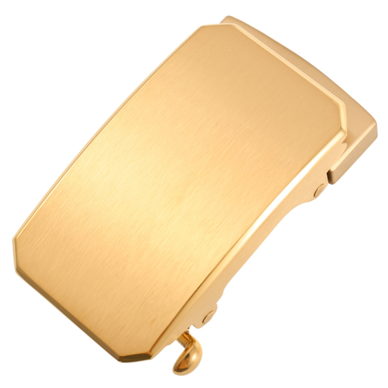 Nerūdijančio plieno automatinė diržo sagtis LY36-00048 | Lan Ye