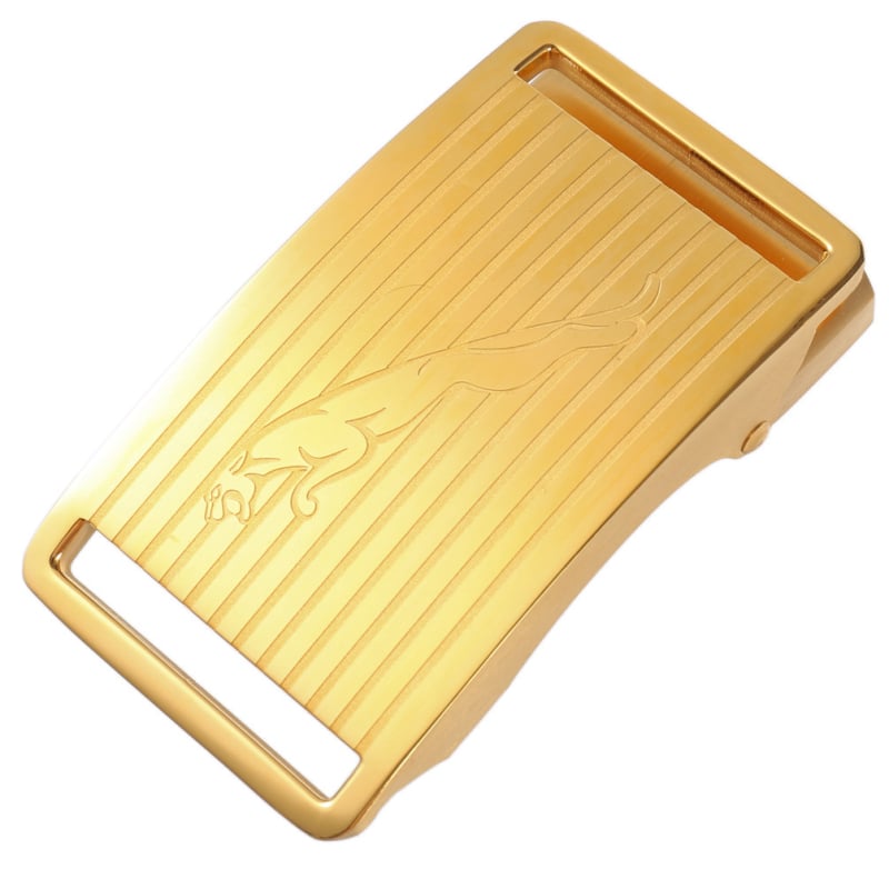 Nerūdijančio plieno automatinė diržo sagtis LY36-00048 | Lan Ye