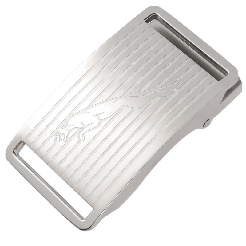 Nerūdijančio plieno automatinė diržo sagtis LY36-00048 | Lan Ye