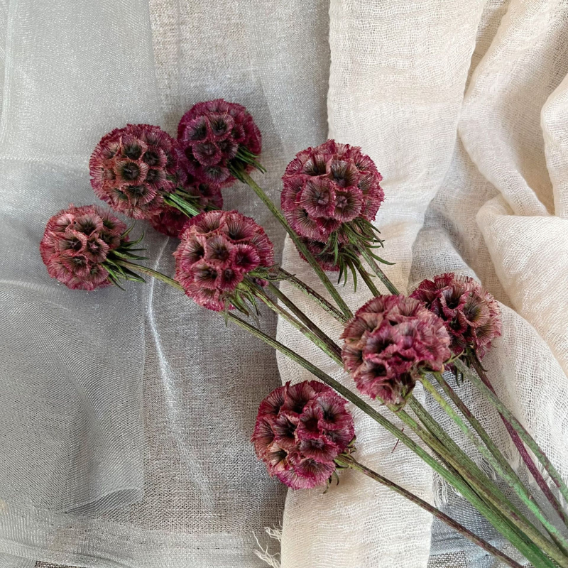 Μπουκέτο αποξηραμένων αιώνιων λουλουδιών για γάμο και διακόσμηση σπιτιού