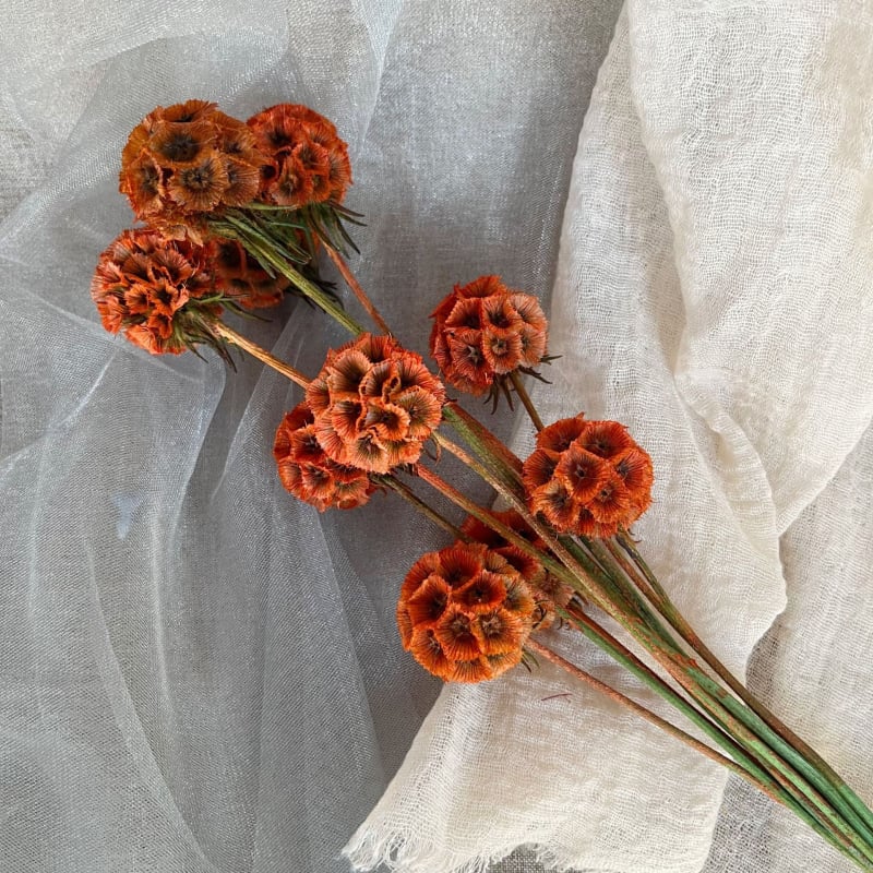 Μπουκέτο αποξηραμένων αιώνιων λουλουδιών για γάμο και διακόσμηση σπιτιού