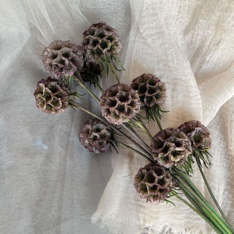 Μπουκέτο αποξηραμένων αιώνιων λουλουδιών για γάμο και διακόσμηση σπιτιού