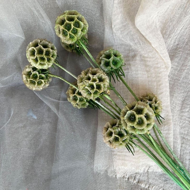 Μπουκέτο αποξηραμένων αιώνιων λουλουδιών για γάμο και διακόσμηση σπιτιού