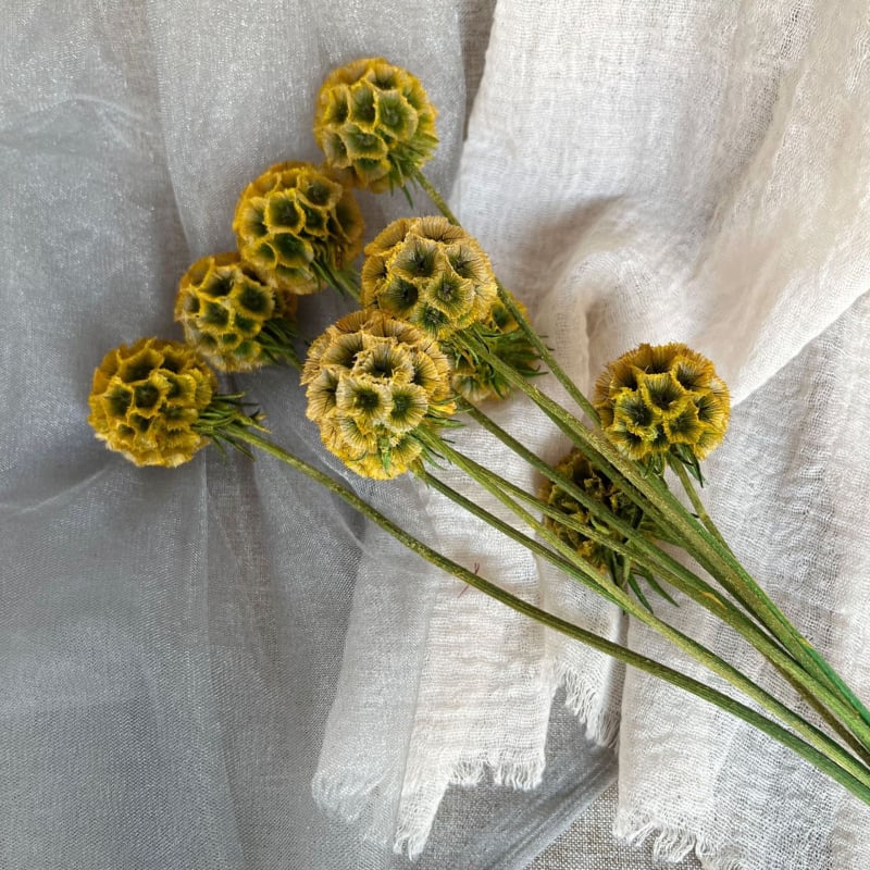 Μπουκέτο αποξηραμένων αιώνιων λουλουδιών για γάμο και διακόσμηση σπιτιού