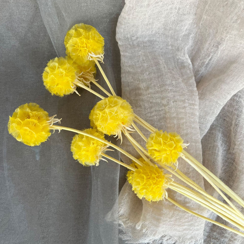 Μπουκέτο αποξηραμένων αιώνιων λουλουδιών για γάμο και διακόσμηση σπιτιού