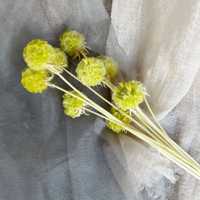 Μπουκέτο αποξηραμένων αιώνιων λουλουδιών για γάμο και διακόσμηση σπιτιού