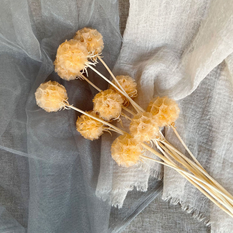 Μπουκέτο αποξηραμένων αιώνιων λουλουδιών για γάμο και διακόσμηση σπιτιού