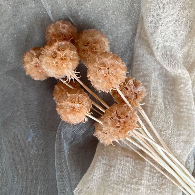 Μπουκέτο αποξηραμένων αιώνιων λουλουδιών για γάμο και διακόσμηση σπιτιού