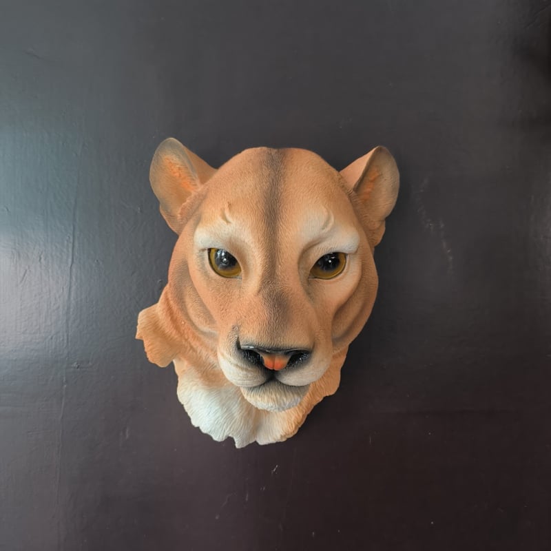 Farkasfej falikép – természetes gyanta anyagból, állatmotívum