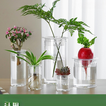 Caurspīdīgs plastmasas cilindrisks hydroponiskais pods sēklām un maziem augiem, stāvošs uz grīdas ar stādīšanas grozu, domāts mājas un dārza lietošanai