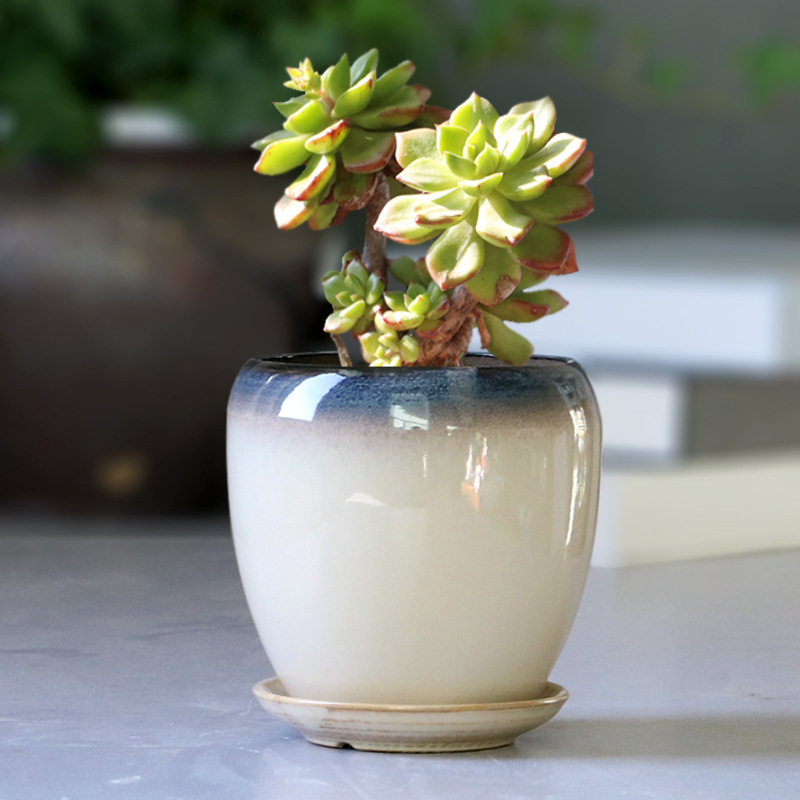 Keramikas puķu pods ar paliktni, olu formā, vienkāršs stils, stāvošs uz grīdas, piemērots mājas un dārza audzēšanai