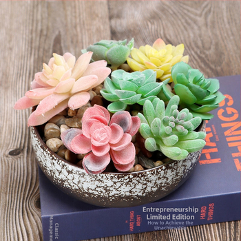 Keramički ručno izrađeni lonac za sukulente – Really Good, domaći proizvod