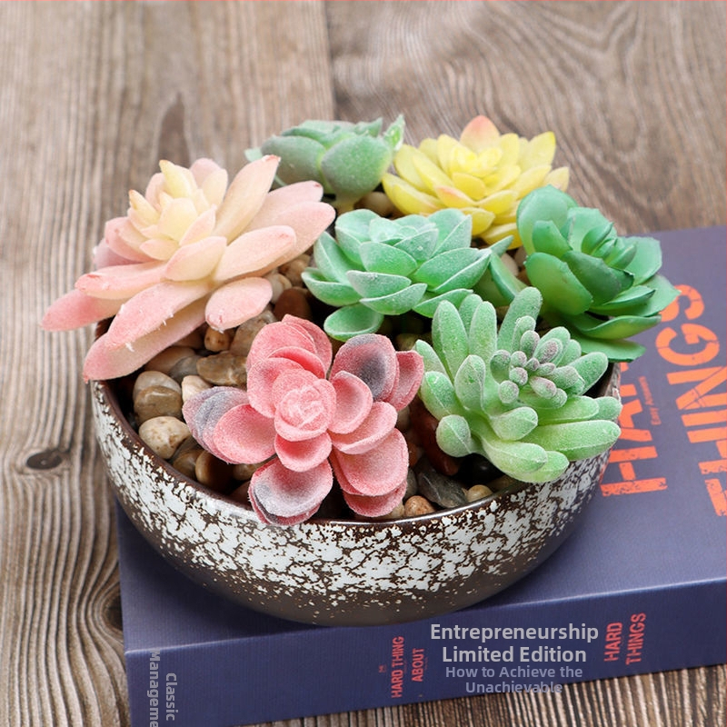 Керамична ръчно изработена саксия за сукуленти от Really Good — не е внесена