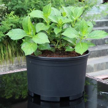 Plastična cvjetna posuda za podnu upotrebu, pastoralnog stila, za kućno vrtlarenje